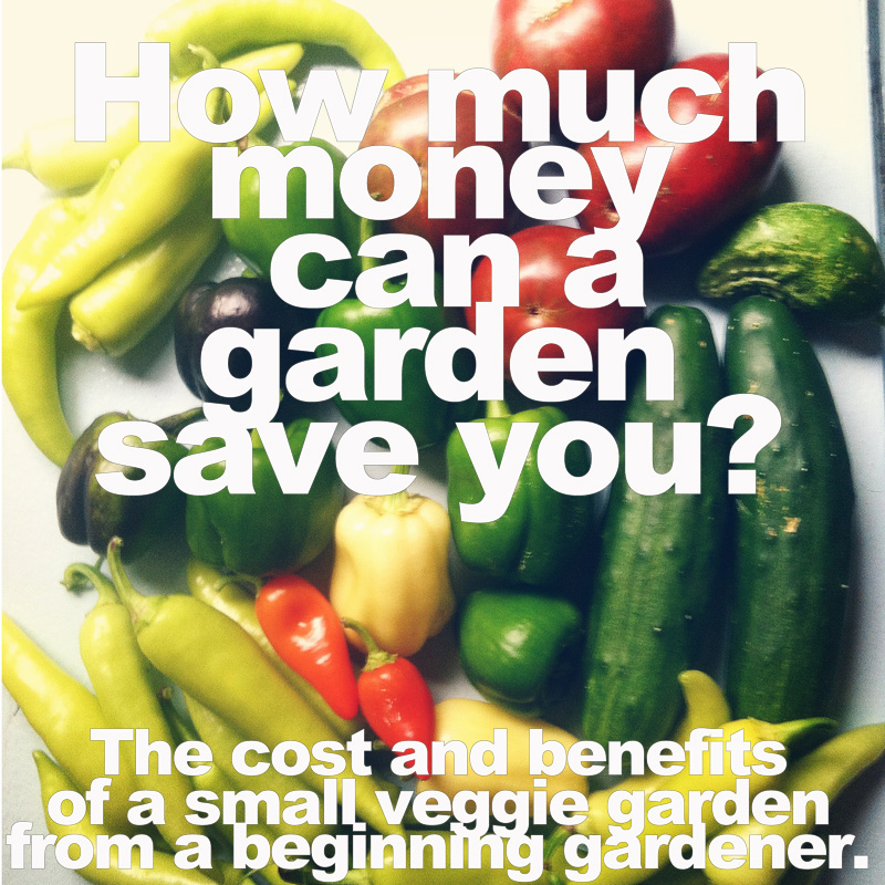 How Much Money Can A Garden Save You? The Cost And Benefits Of A Small ...